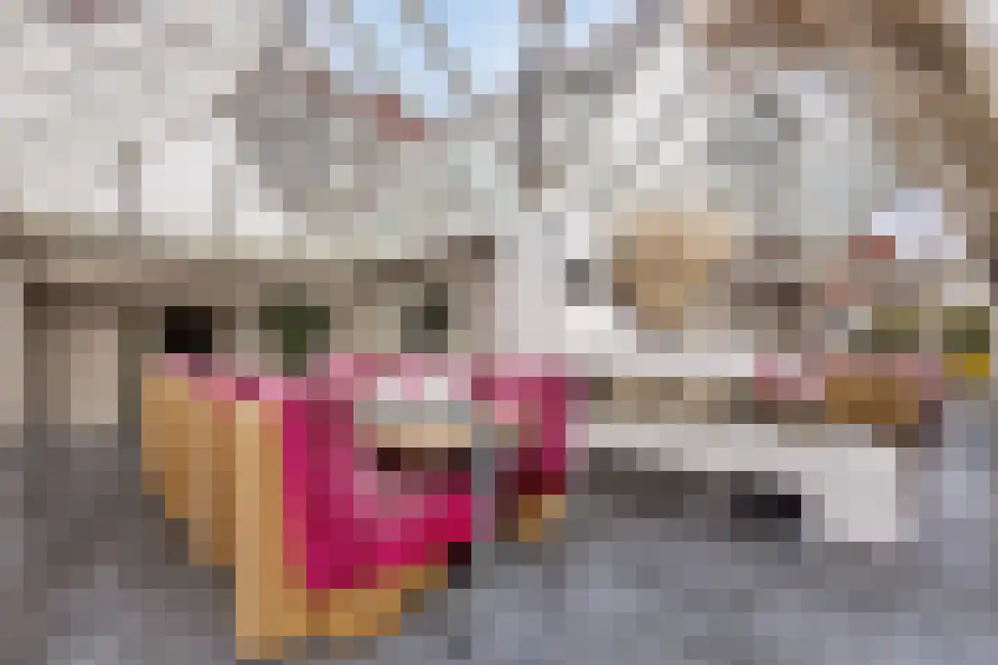 Pluto 200 Den Helder foto 3