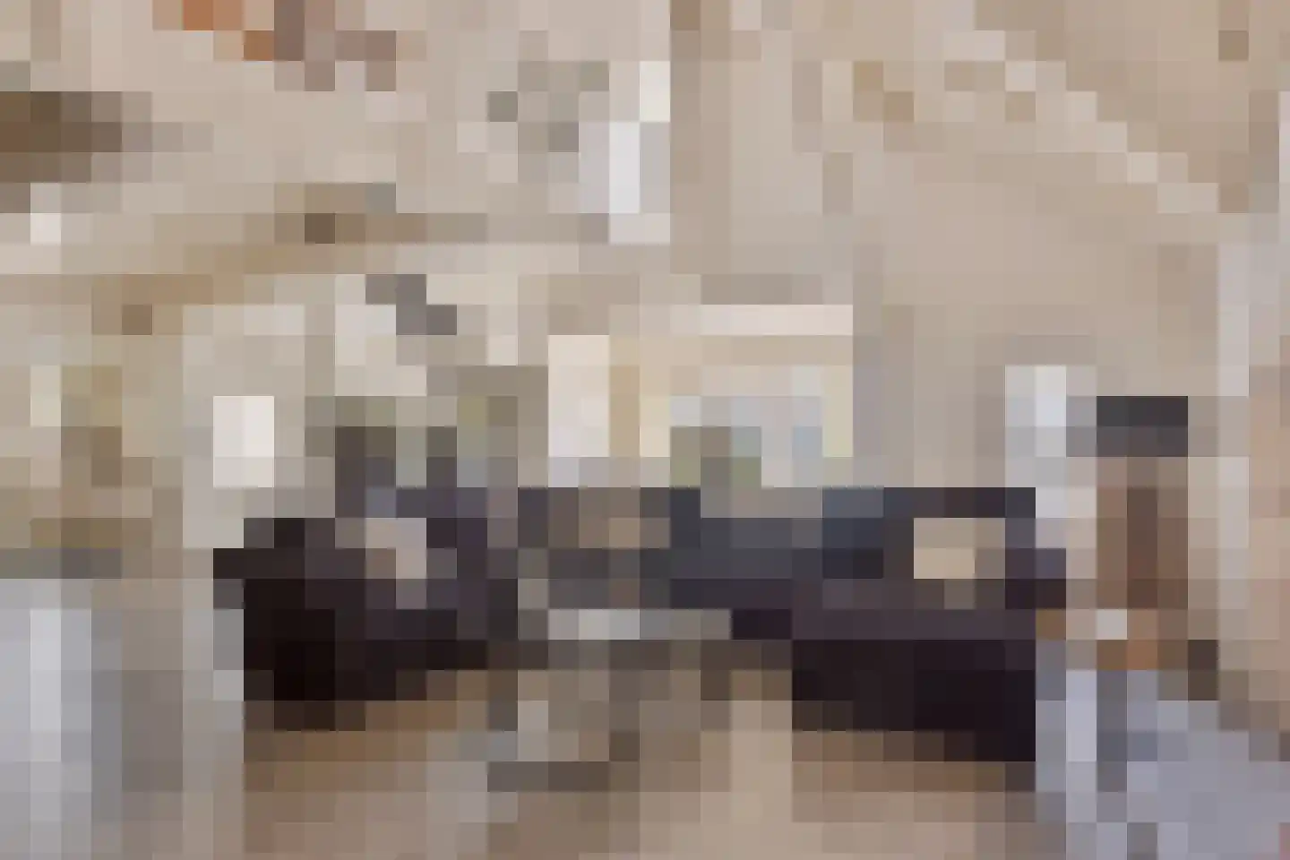Pluto 200 Den Helder thumbnail 5