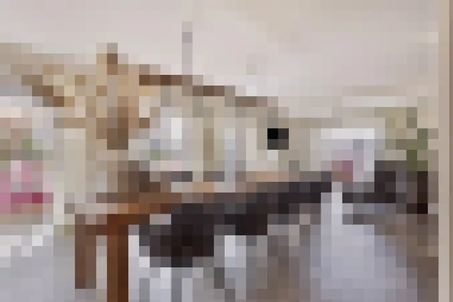 Pluto 200 Den Helder thumbnail 7