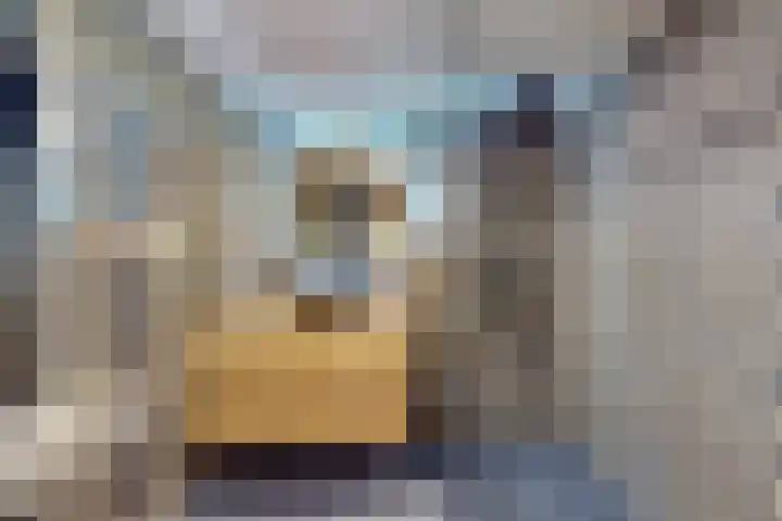 Pluto 200 Den Helder thumbnail 8