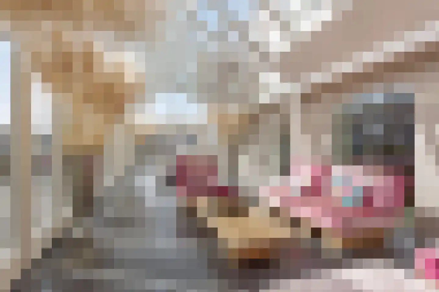 Pluto 200 Den Helder thumbnail 8
