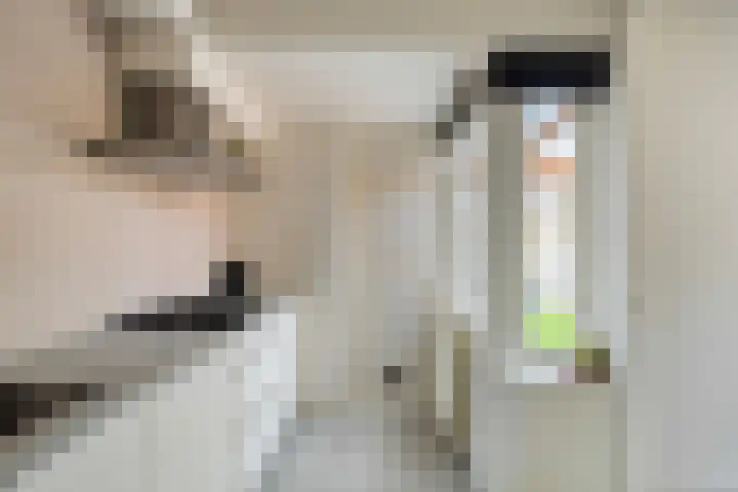 Pluto 29 Lichtenvoorde thumbnail 17