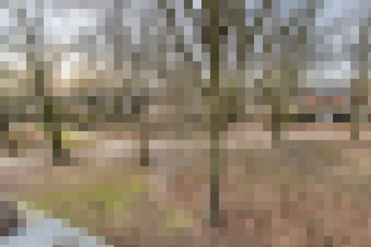 Pluto 29 Lichtenvoorde thumbnail 36