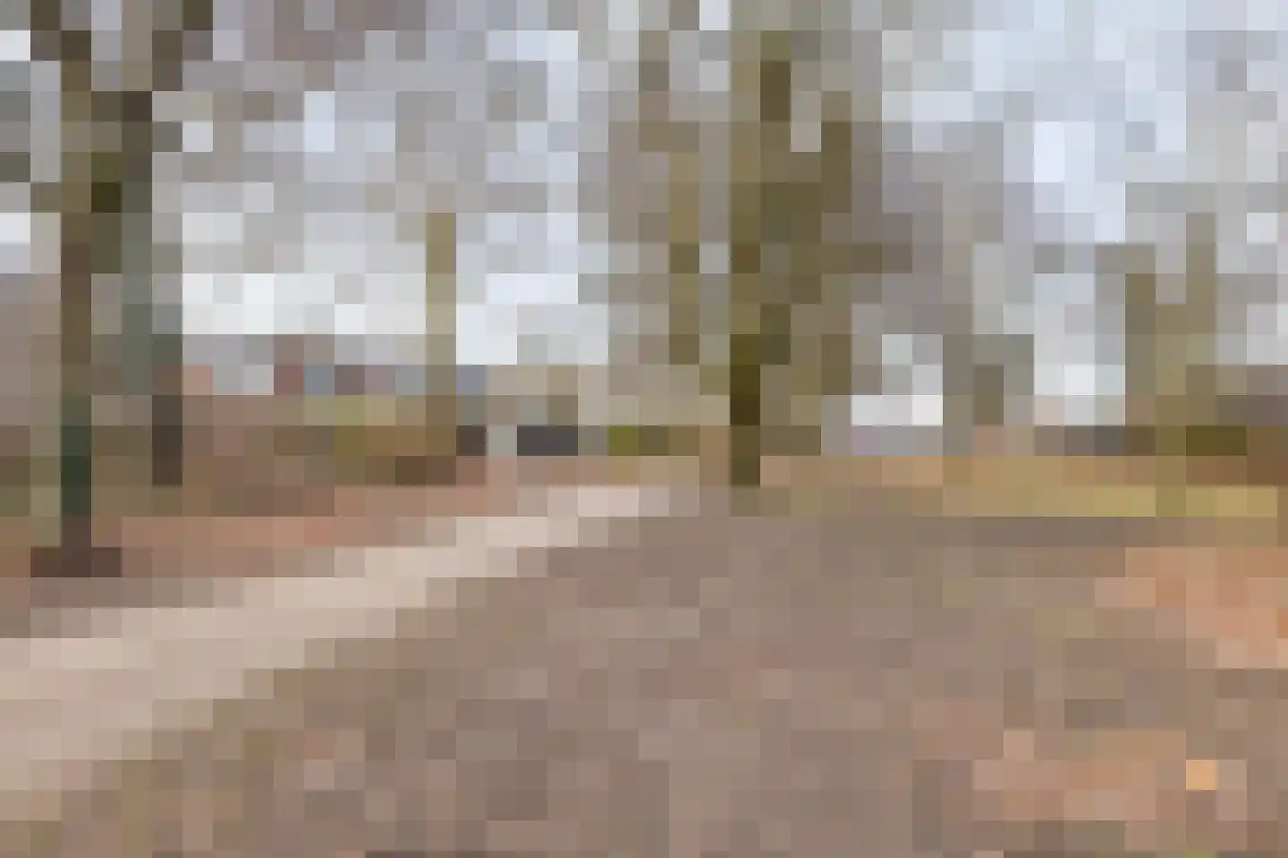 Pluto 29 Lichtenvoorde thumbnail 38