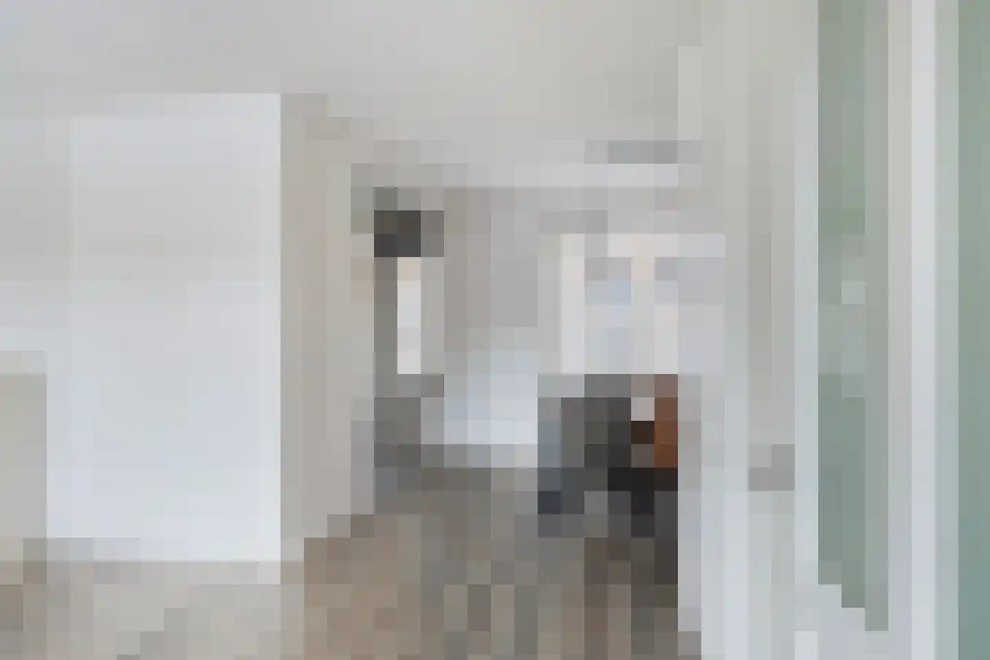 Pluto 29 Lichtenvoorde thumbnail 6