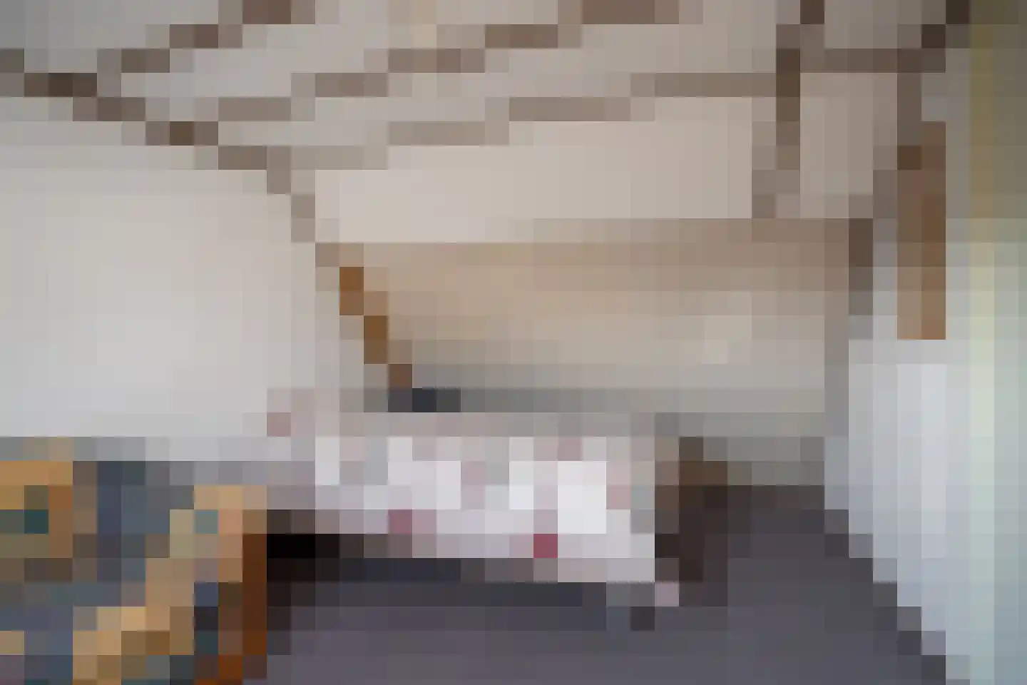 Pluto 3 Duiven thumbnail 21