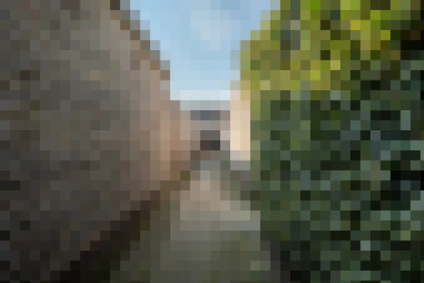 Pluto 3 Duiven thumbnail 26