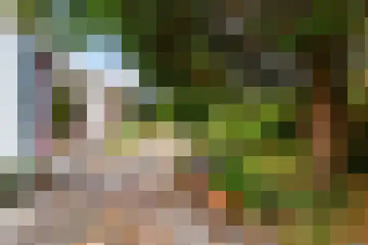 Pluto 4 IJsselstein thumbnail 24