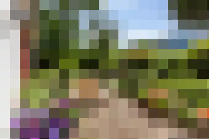 Pluto 4 IJsselstein thumbnail 25