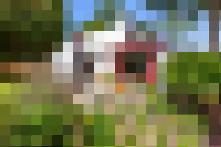 Pluto 4 IJsselstein thumbnail 27
