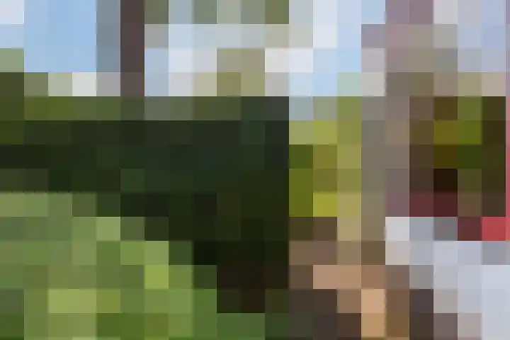 Pluto 4 IJsselstein thumbnail 5