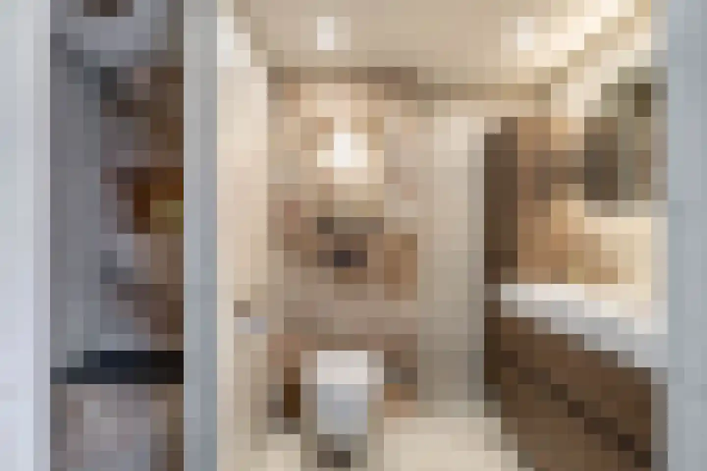 Pluto 48 Den Helder thumbnail 43