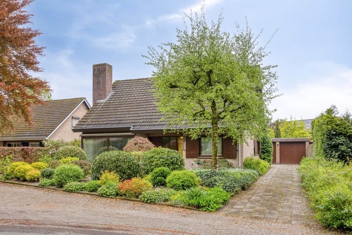 Pluto 7 in Hapert Foto