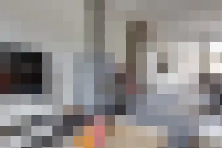 Pluto 7 Lichtenvoorde thumbnail 15