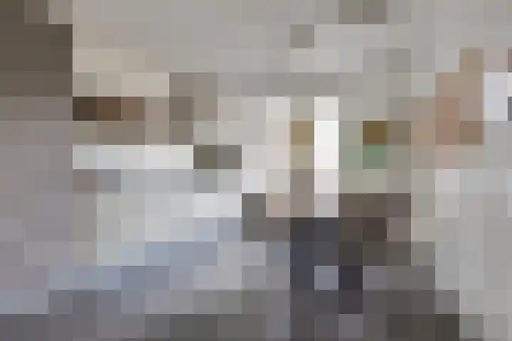 Pluto 7 Lichtenvoorde thumbnail 17
