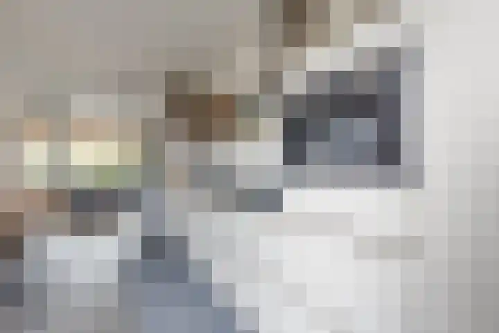 Pluto 7 Lichtenvoorde thumbnail 23
