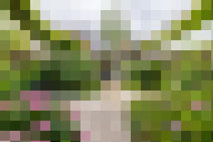 Pluto 7 Lichtenvoorde thumbnail 4