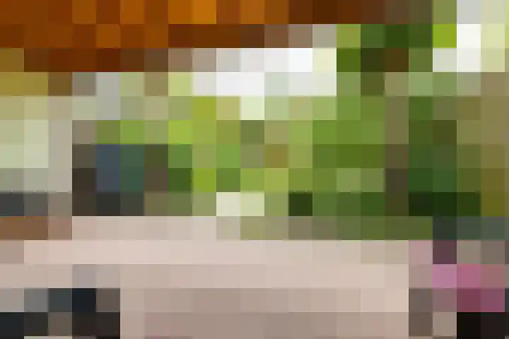 Pluto 7 Lichtenvoorde thumbnail 47