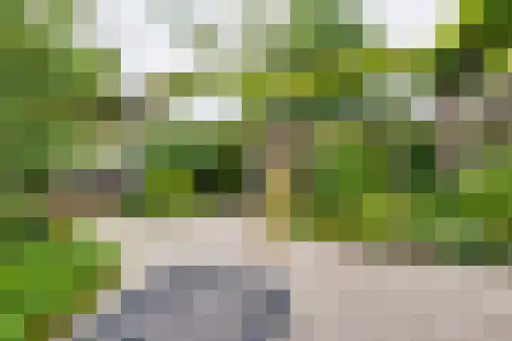 Pluto 7 Lichtenvoorde thumbnail 55