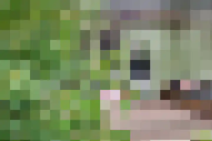 Pluto 7 Lichtenvoorde thumbnail 56