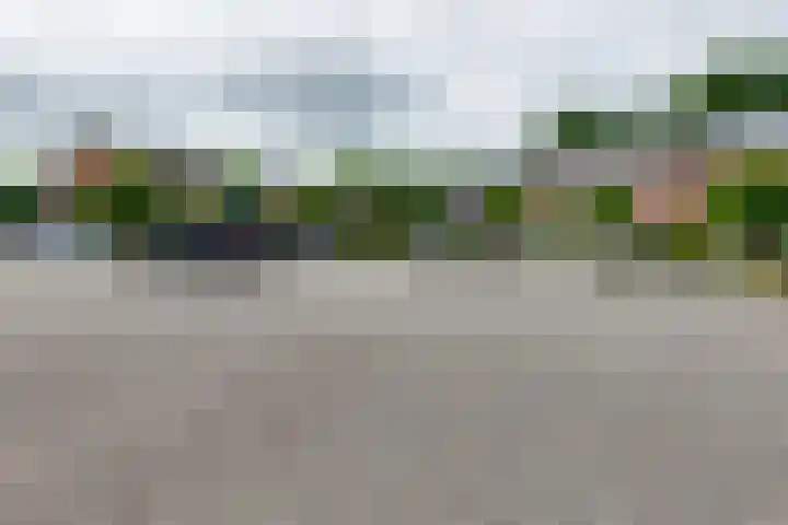 Pluto 7 Lichtenvoorde thumbnail 59