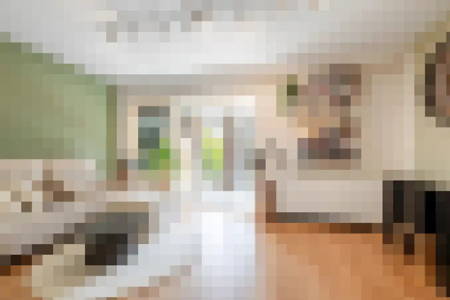 Pluto 9 Den Helder thumbnail 12