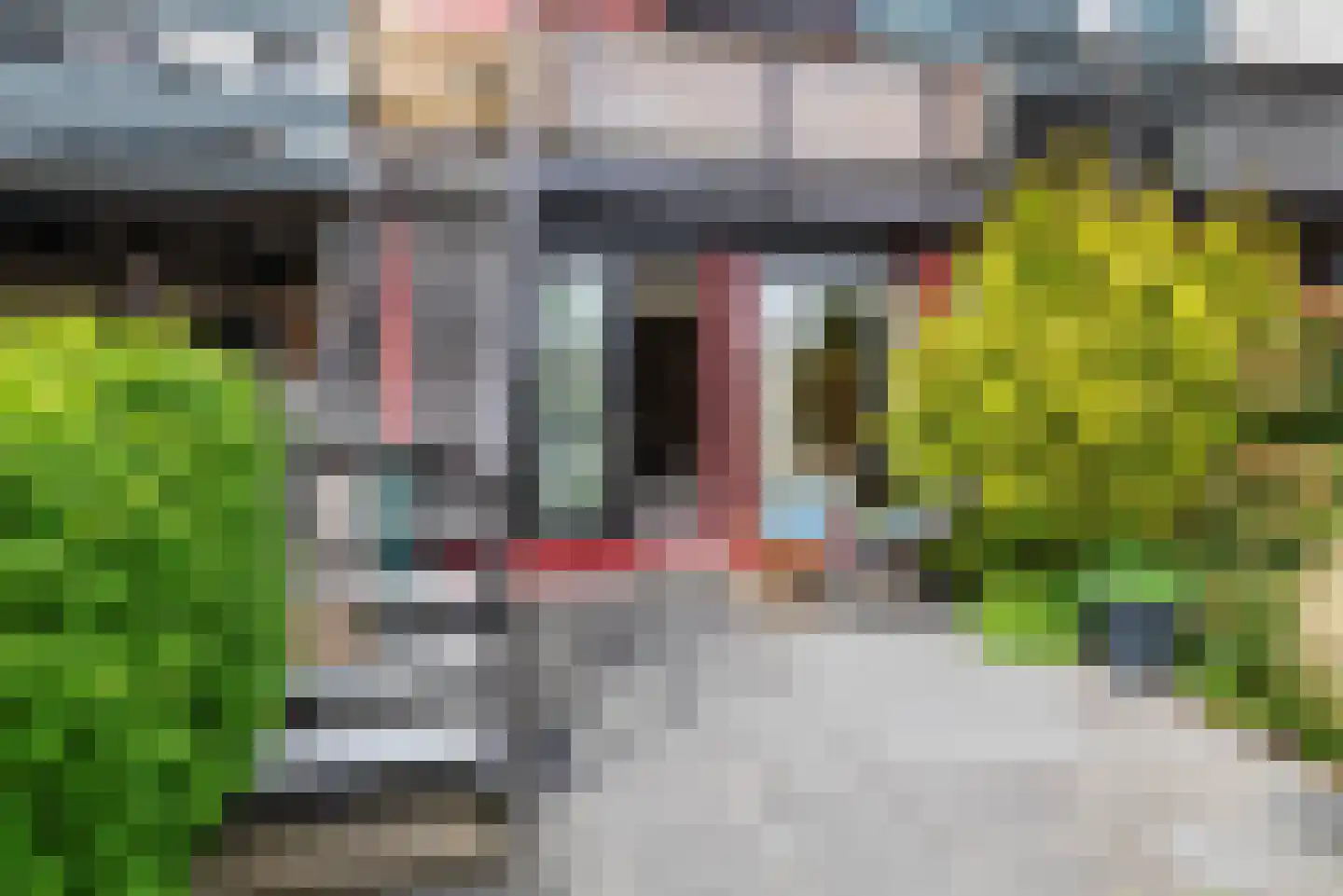 Pluto 9 Den Helder thumbnail 23