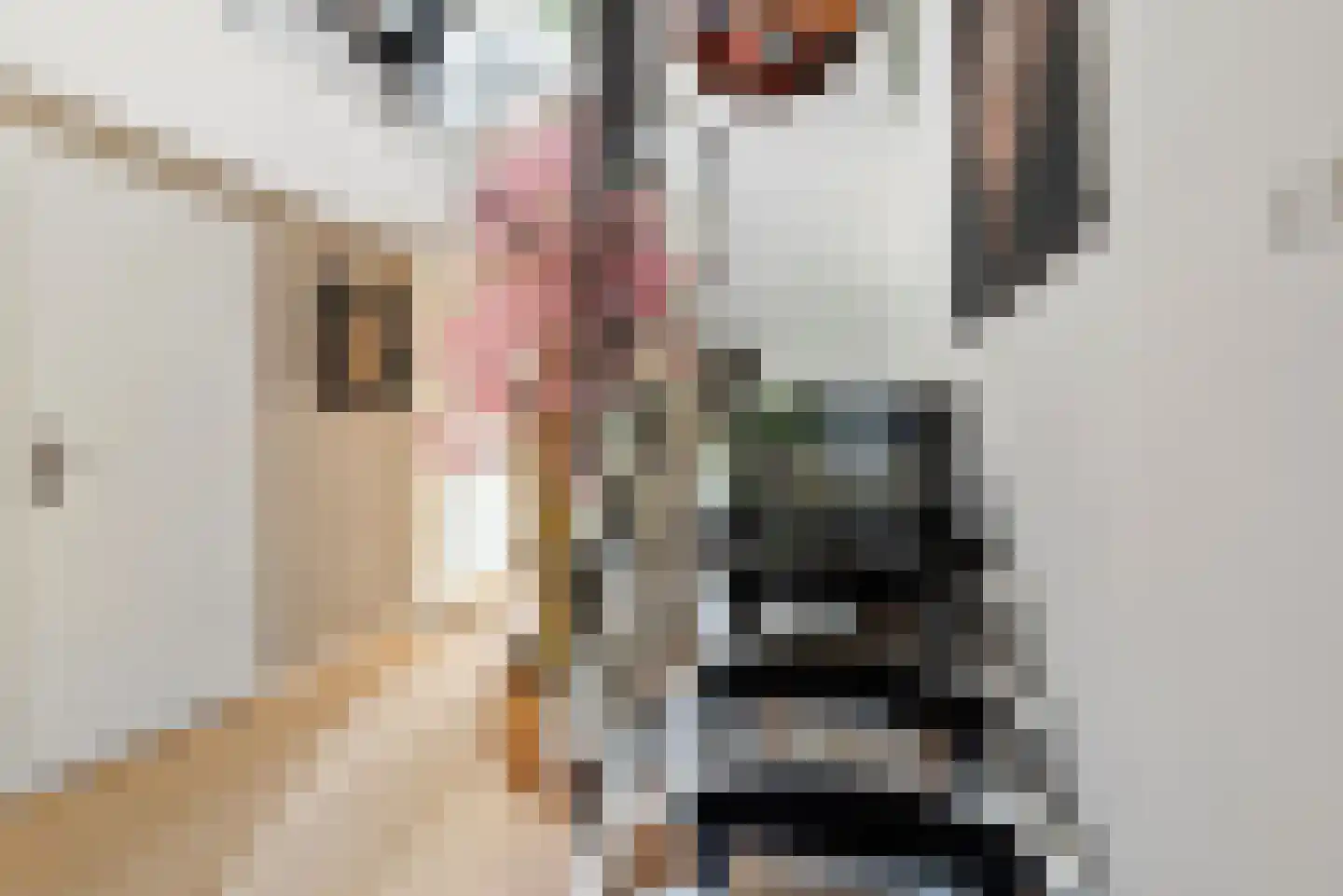 Pluto 9 Den Helder thumbnail 29