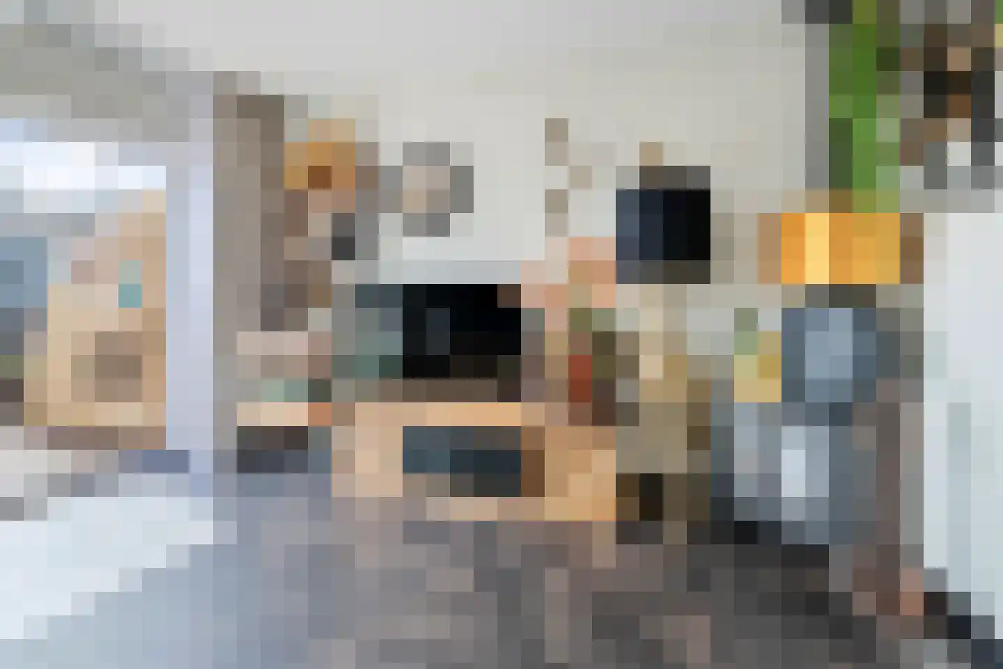 Pluto 9 Den Helder thumbnail 43