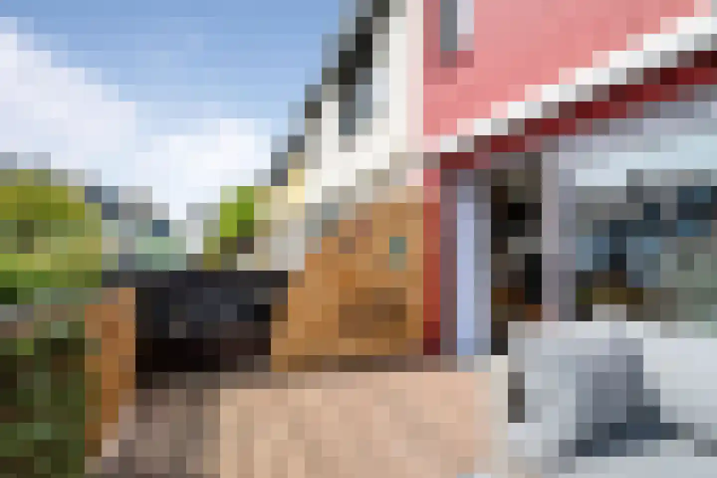 Pluto 9 Den Helder thumbnail 47