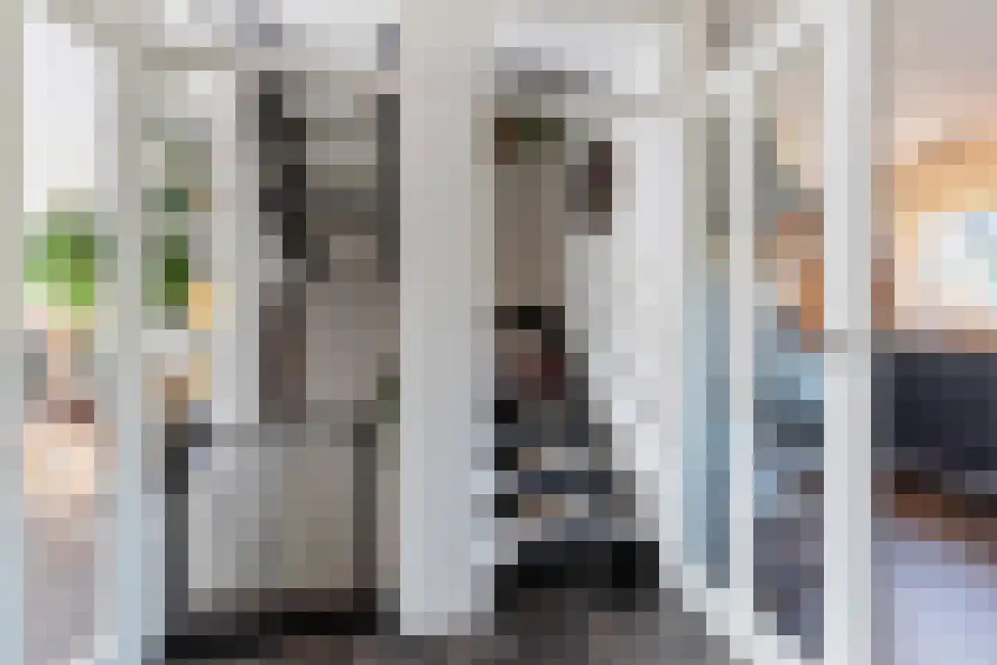 Pluto 9 Den Helder thumbnail 51