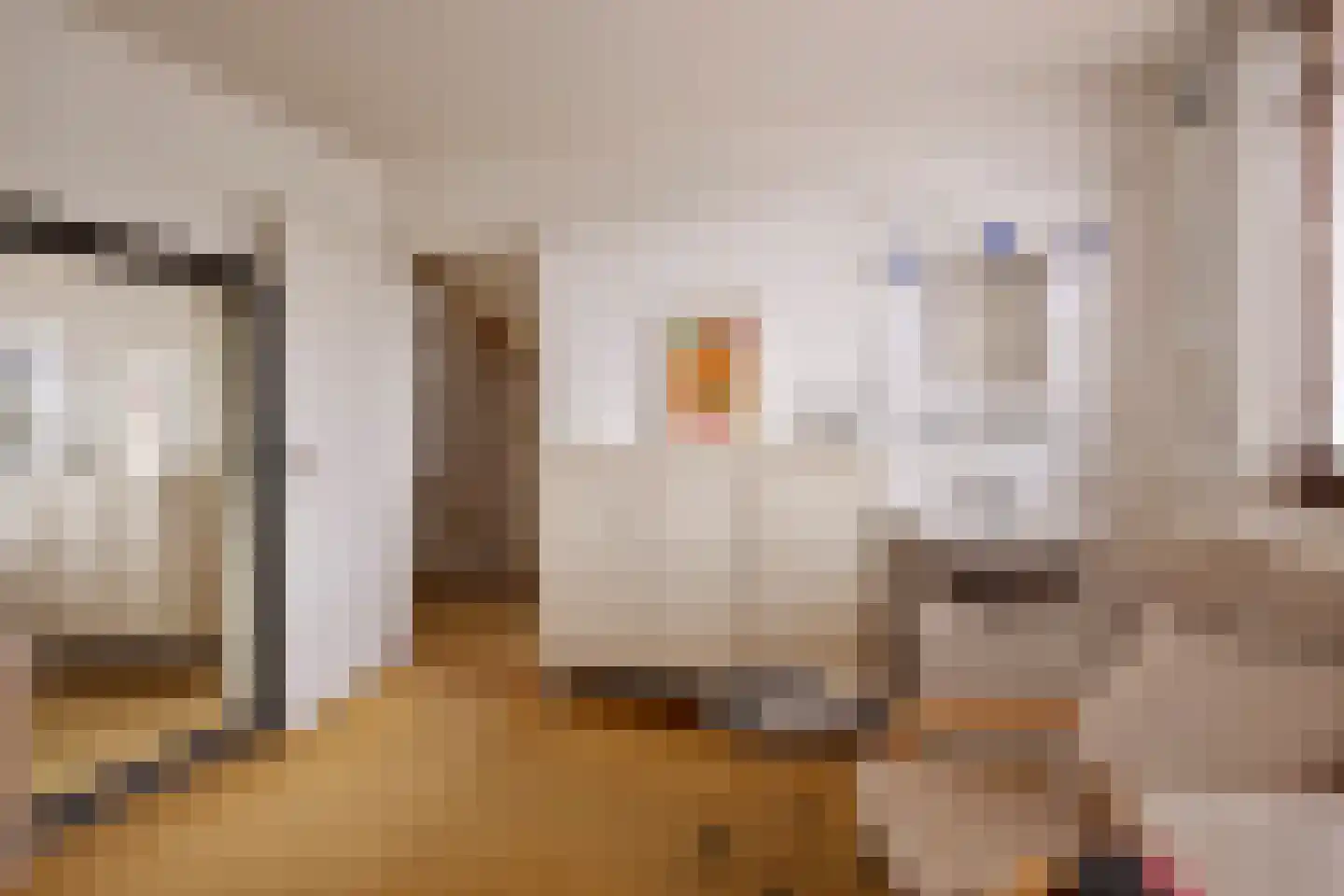 Plutohof 25 Maastricht thumbnail 21