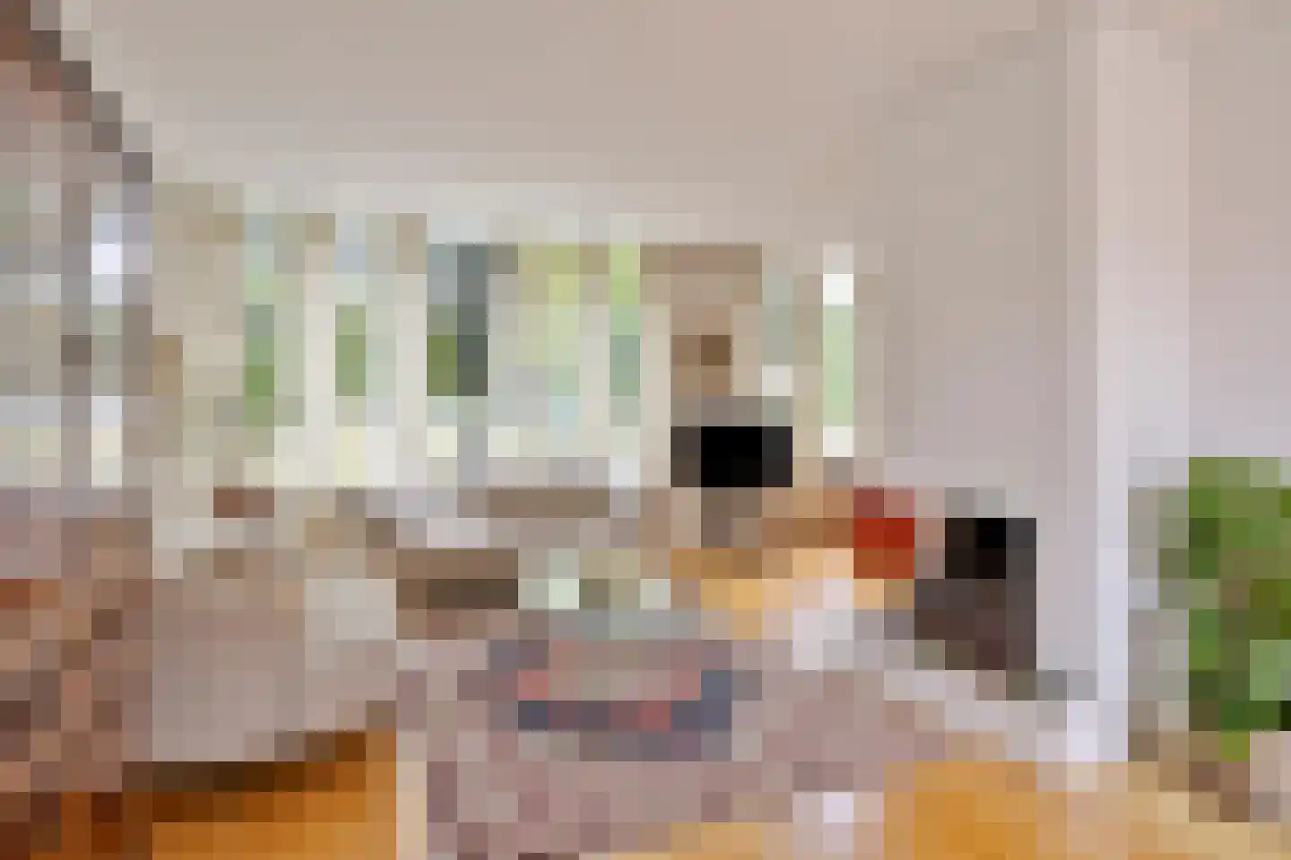 Plutohof 25 Maastricht thumbnail 4