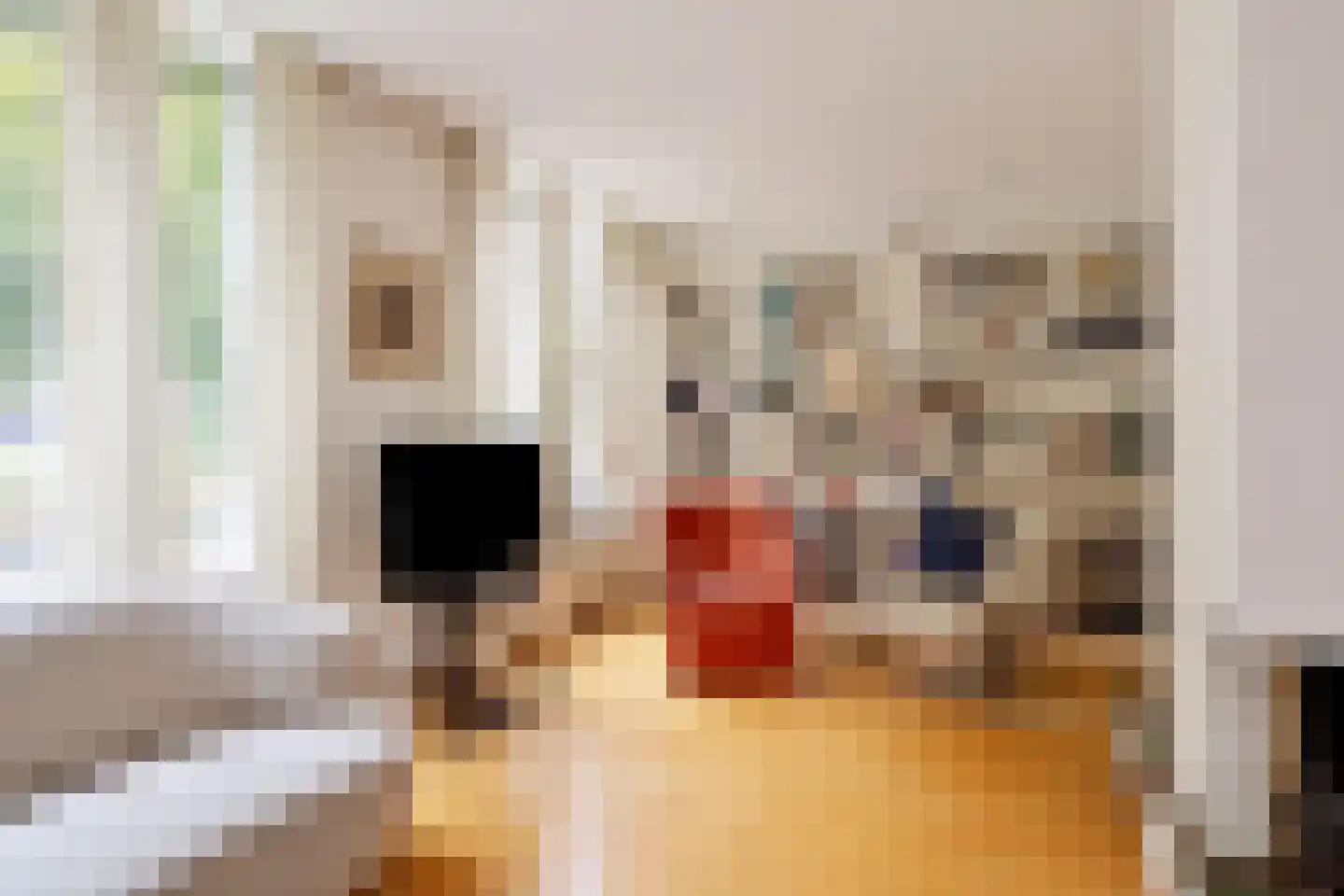 Plutohof 25 Maastricht thumbnail 7