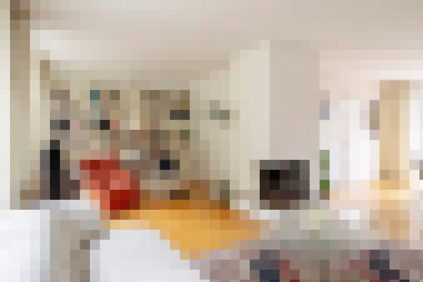 Plutohof 25 Maastricht thumbnail 8