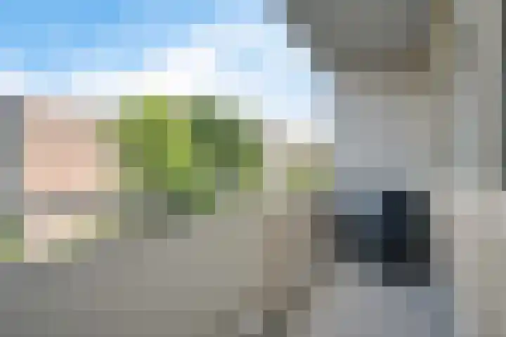 Plutolaan 118 Groningen thumbnail 9