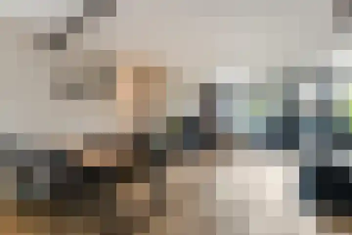 Plutolaan 12 Dordrecht thumbnail 10