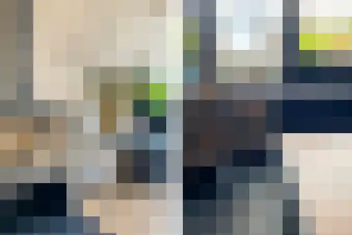 Plutolaan 12 Dordrecht thumbnail 16