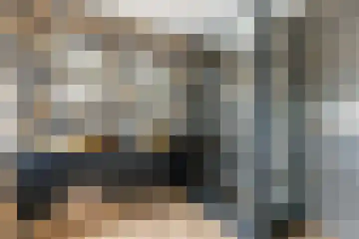 Plutolaan 12 Dordrecht thumbnail 19