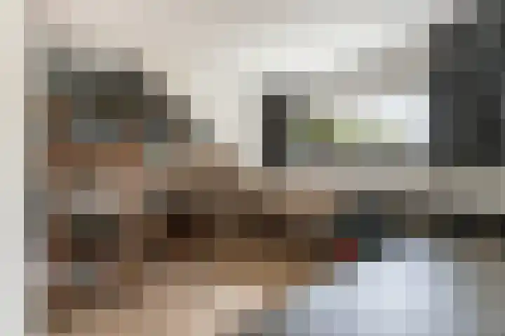 Plutolaan 12 Dordrecht thumbnail 25
