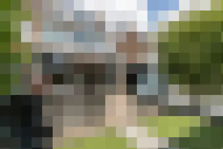 Plutolaan 12 Dordrecht thumbnail 30