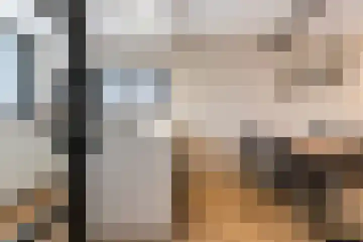 Plutolaan 12 Dordrecht thumbnail 6