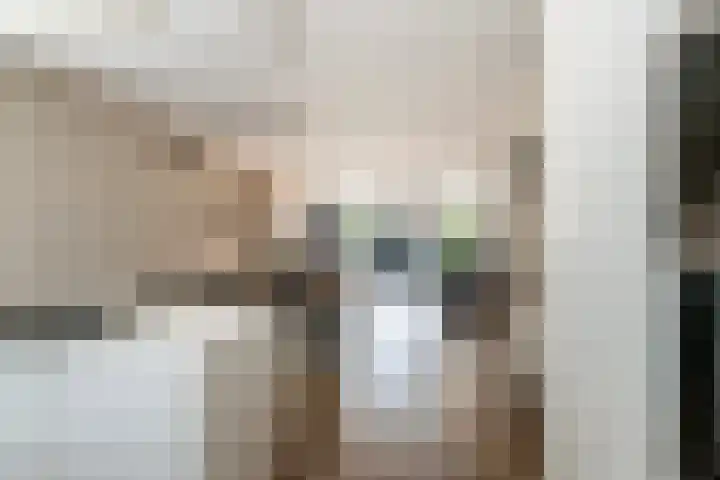 Plutolaan 12 Dordrecht thumbnail 9