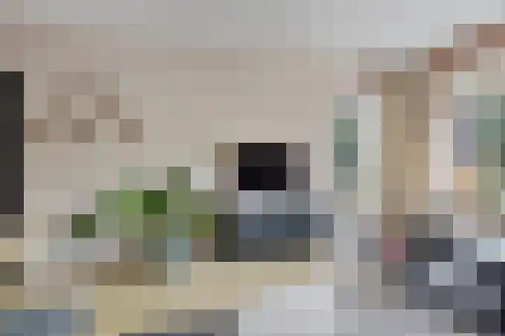 Plutolaan 12 Groningen thumbnail 20