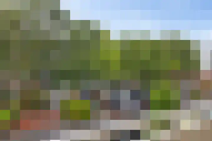 Plutolaan 12 Groningen thumbnail 23