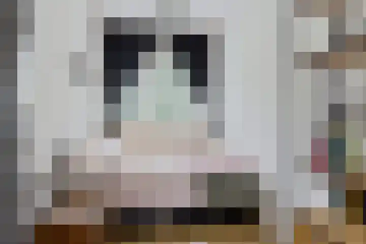 Plutolaan 12 Groningen thumbnail 28