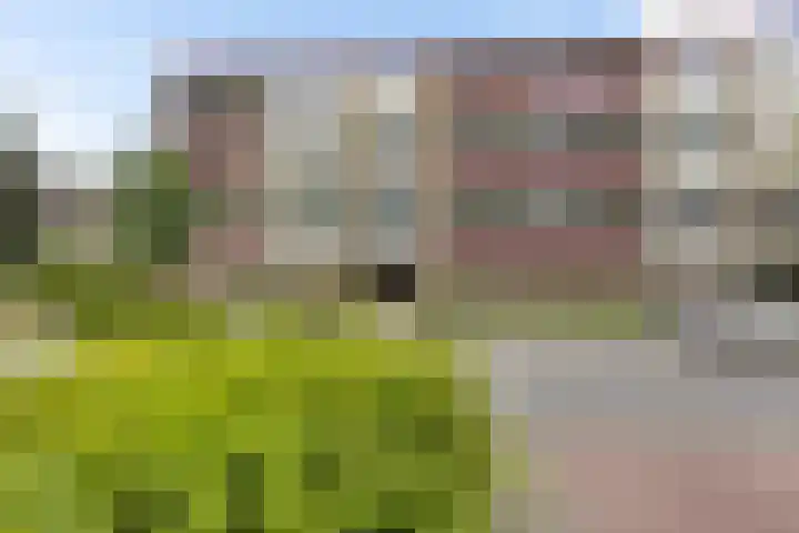 Plutolaan 12 Groningen thumbnail 37