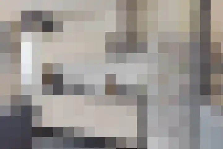 Plutolaan 12 Groningen thumbnail 9