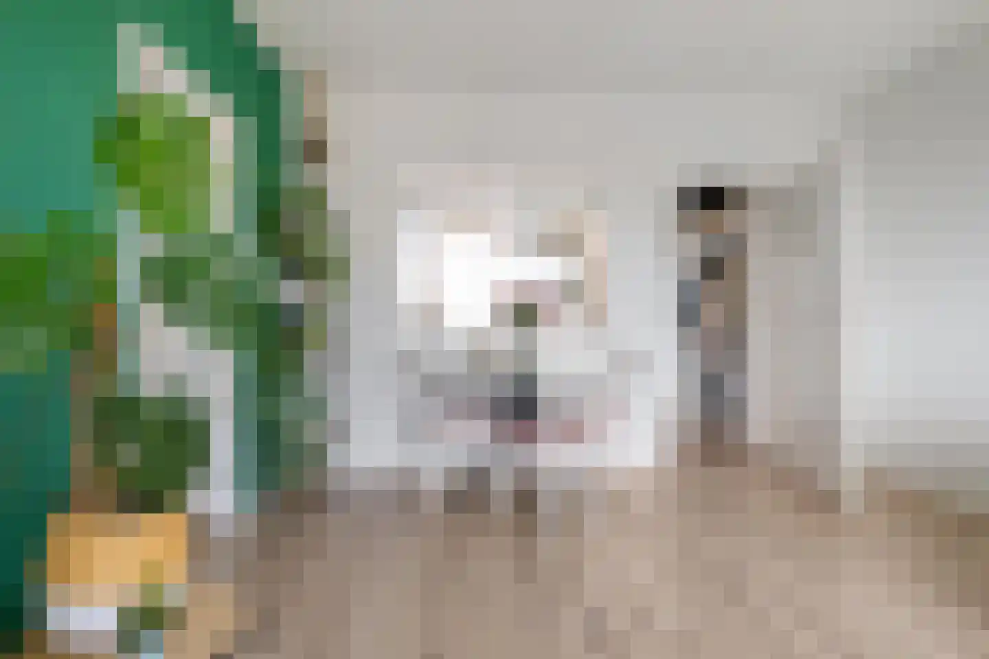 Plutolaan 146 Groningen thumbnail 15