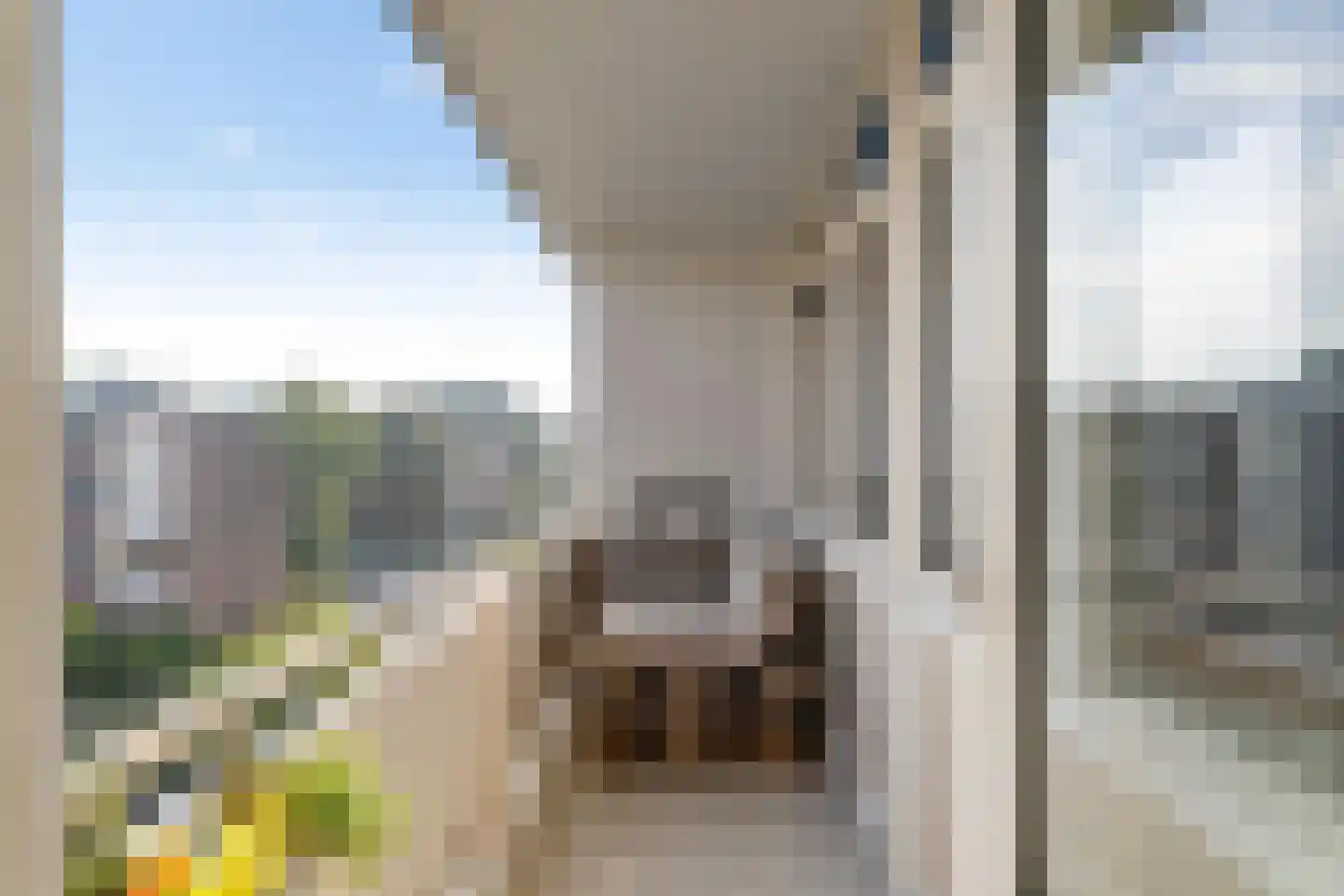 Plutolaan 146 Groningen thumbnail 19